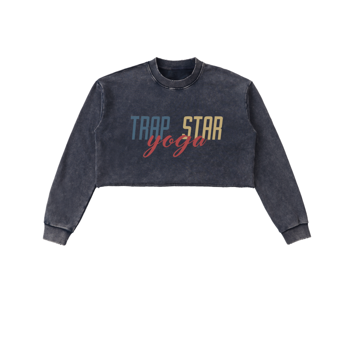 Snow Washed Raw-Edge Crop Sweatshirt