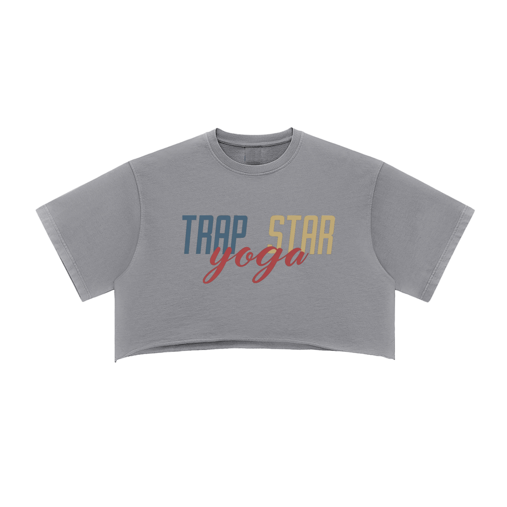 Snow Washed Raw-Edge Crop Tee