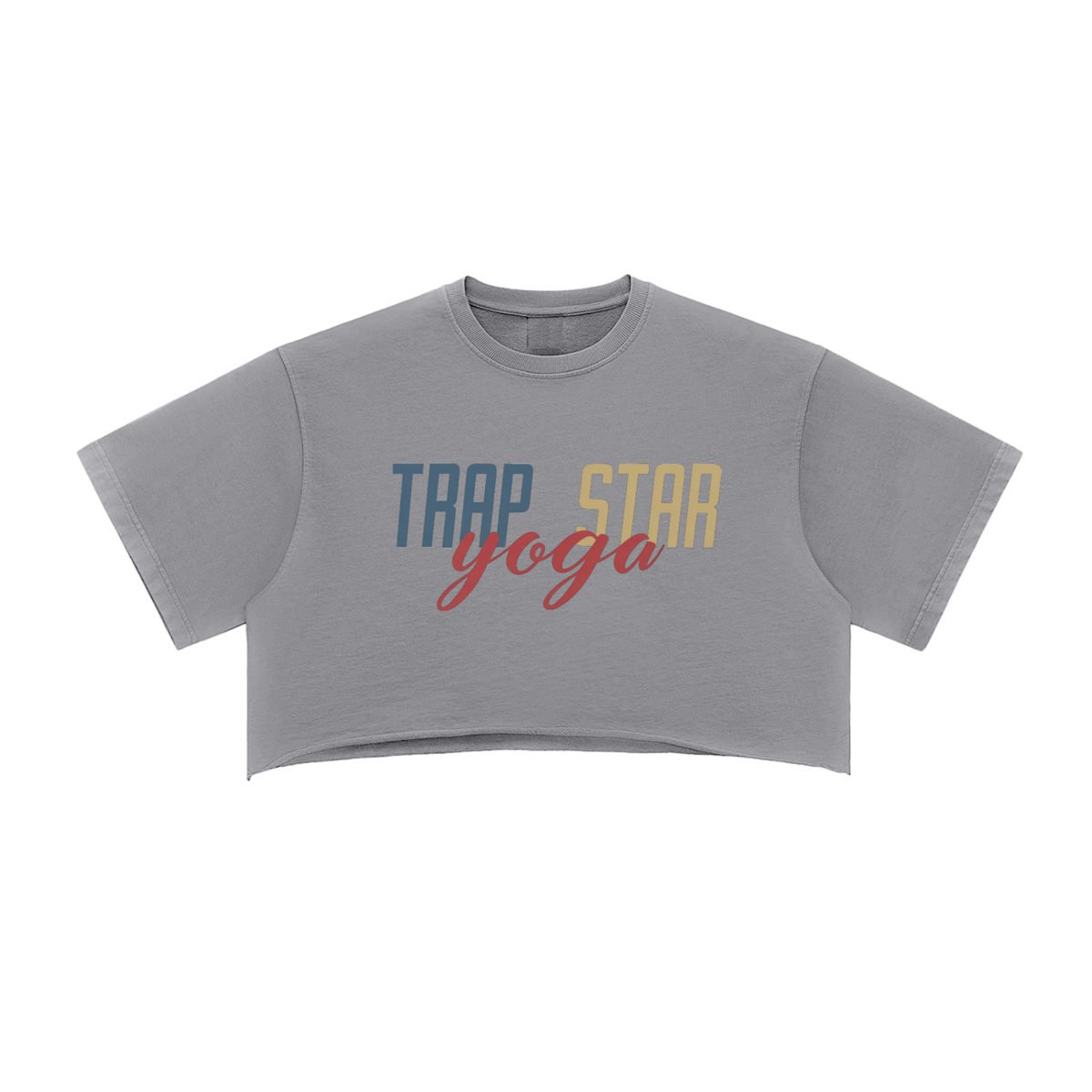 Snow Washed Raw-Edge Crop Tee