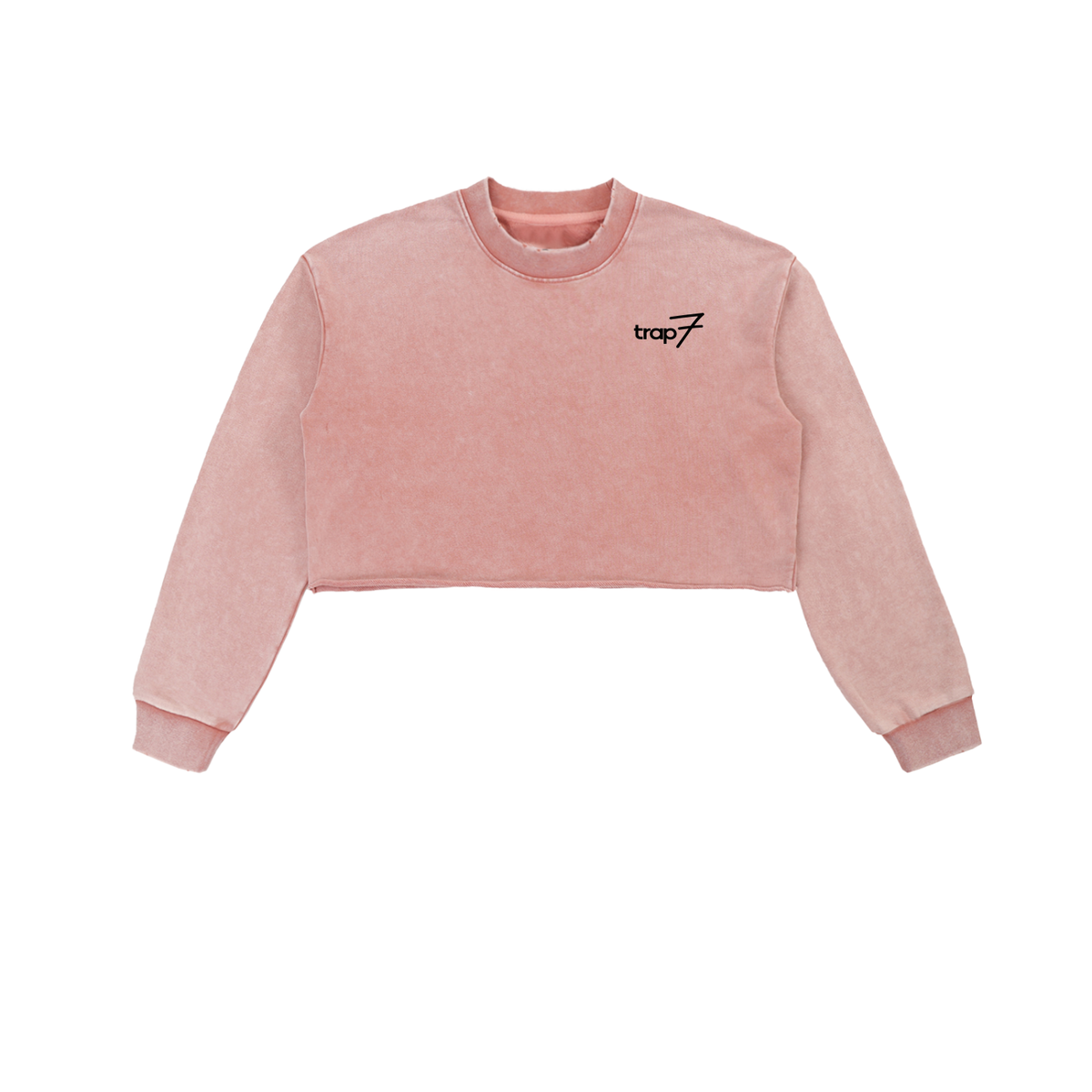Snow Washed Raw-Edge Crop Sweatshirt