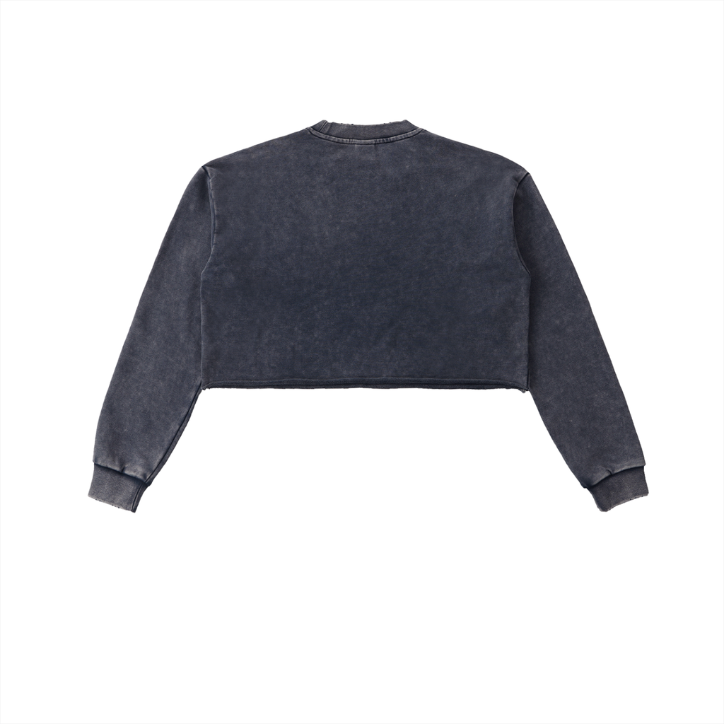 Snow Washed Raw-Edge Crop Sweatshirt