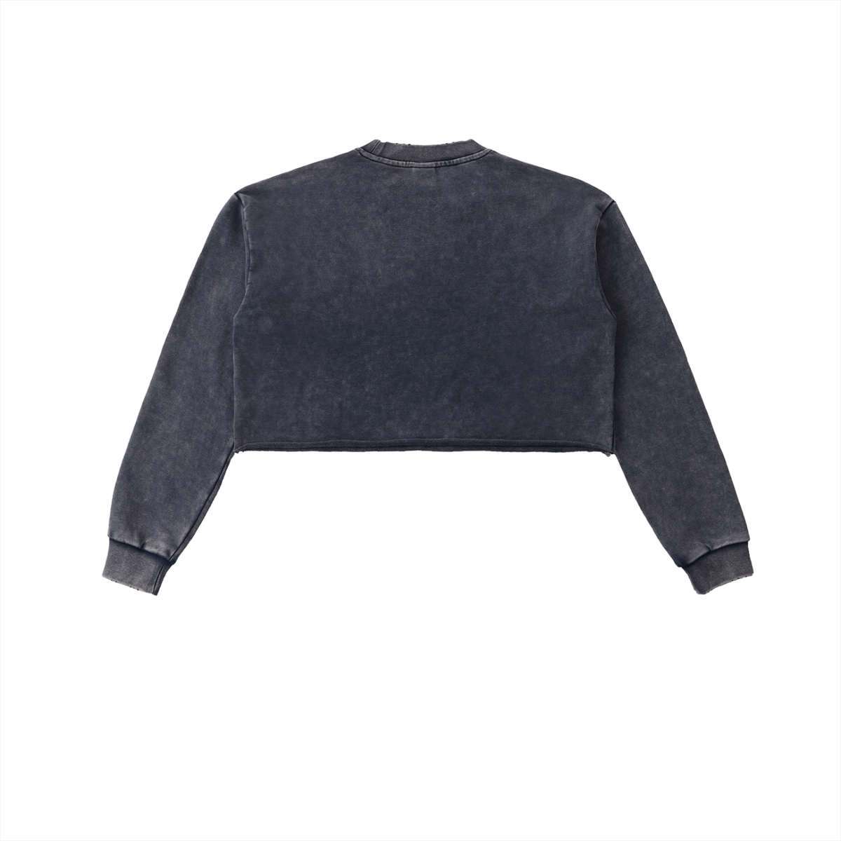 Snow Washed Raw-Edge Crop Sweatshirt