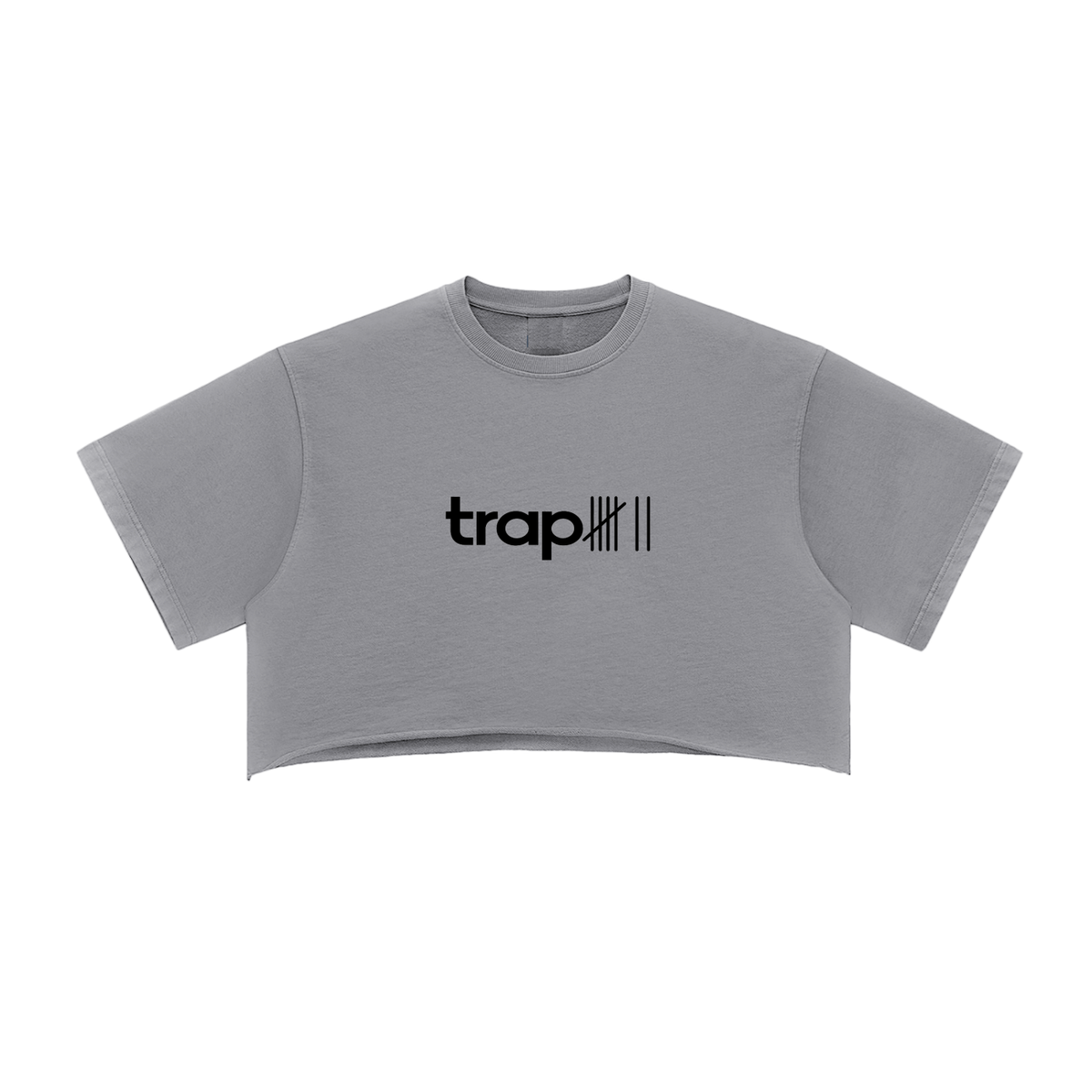 Snow Washed Raw-Edge Crop Tee