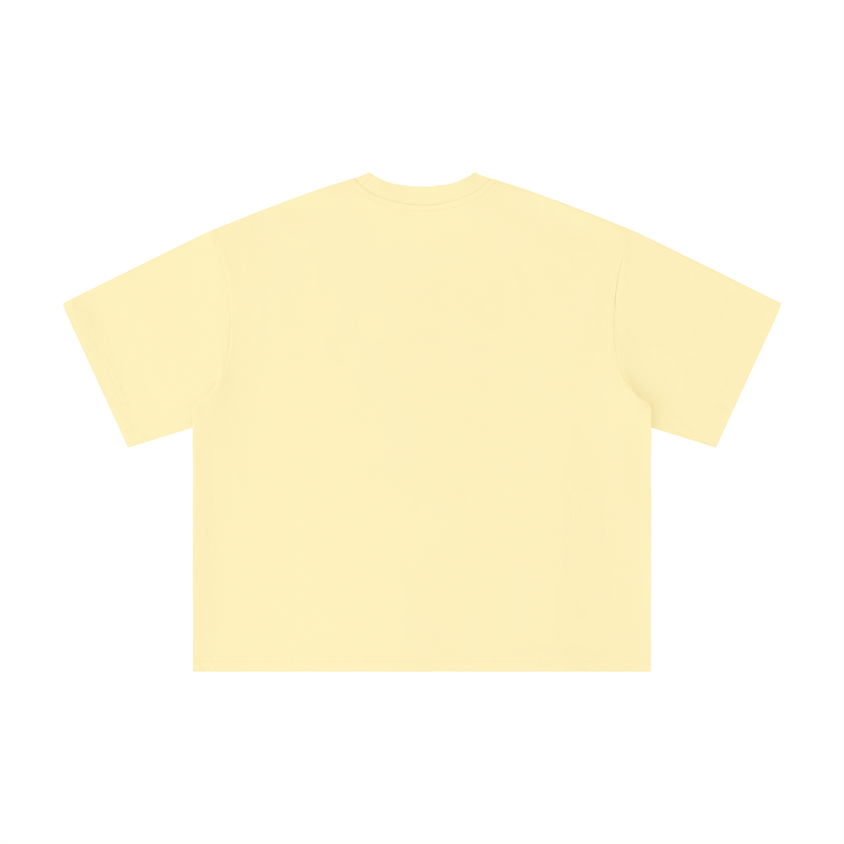 Everyday Unisex Boxy Tee