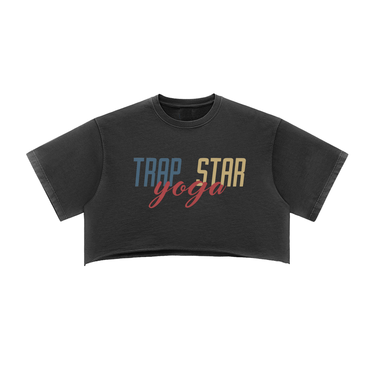 Snow Washed Raw-Edge Crop Tee