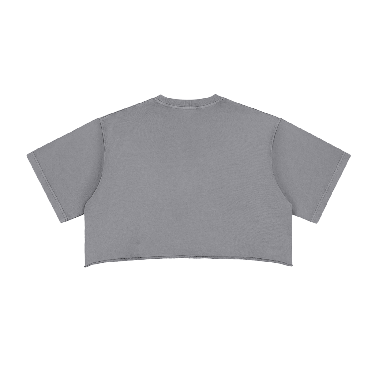 Snow Washed Raw-Edge Crop Tee