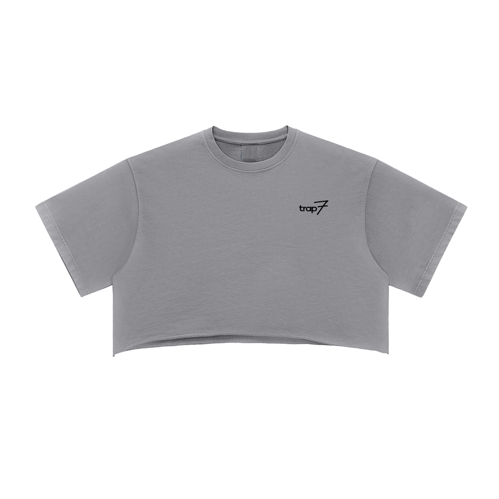 Snow Washed Raw-Edge Crop Tee