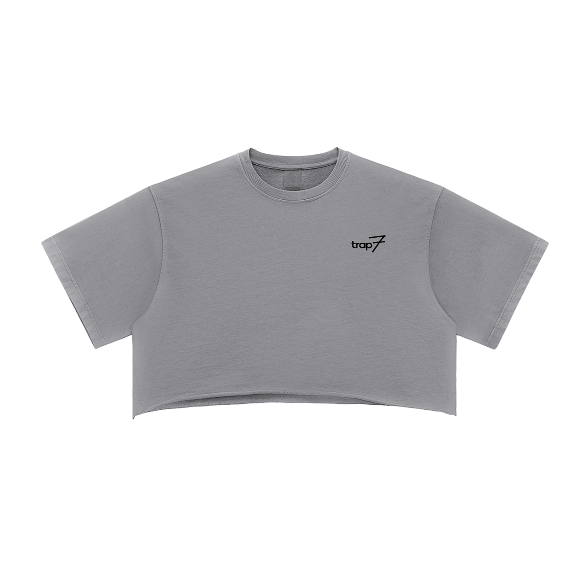 Snow Washed Raw-Edge Crop Tee