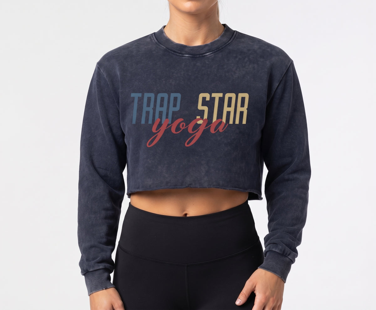 Snow Washed Raw-Edge Crop Sweatshirt