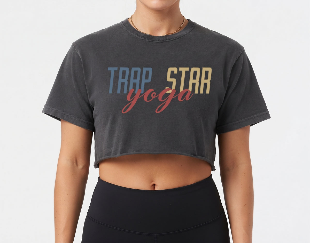 Snow Washed Raw-Edge Crop Tee