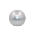 25cm Pilates Core Ball