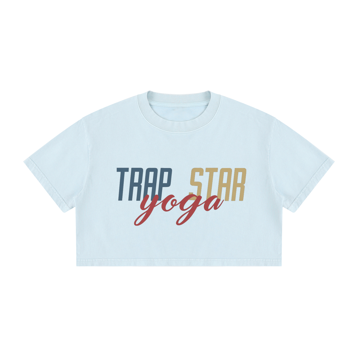 Mineral Wash Cropped Tee