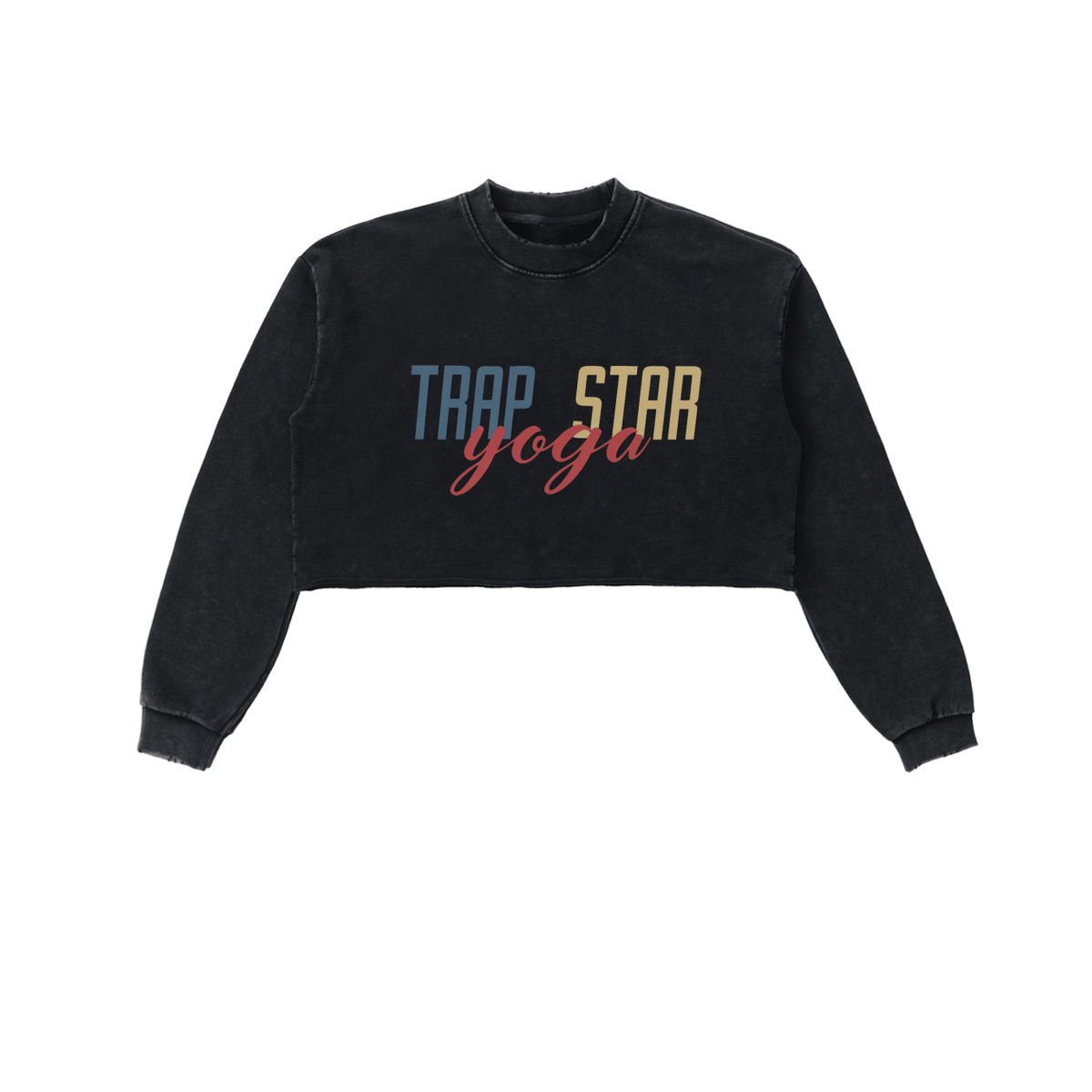 Snow Washed Raw-Edge Crop Sweatshirt