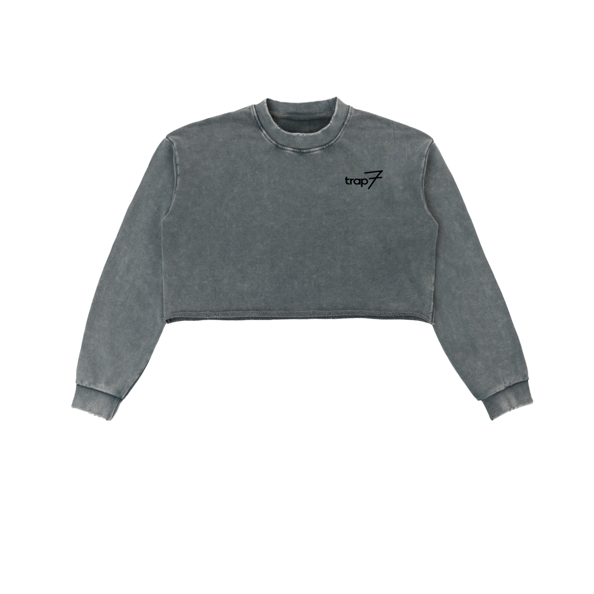 Snow Washed Raw-Edge Crop Sweatshirt