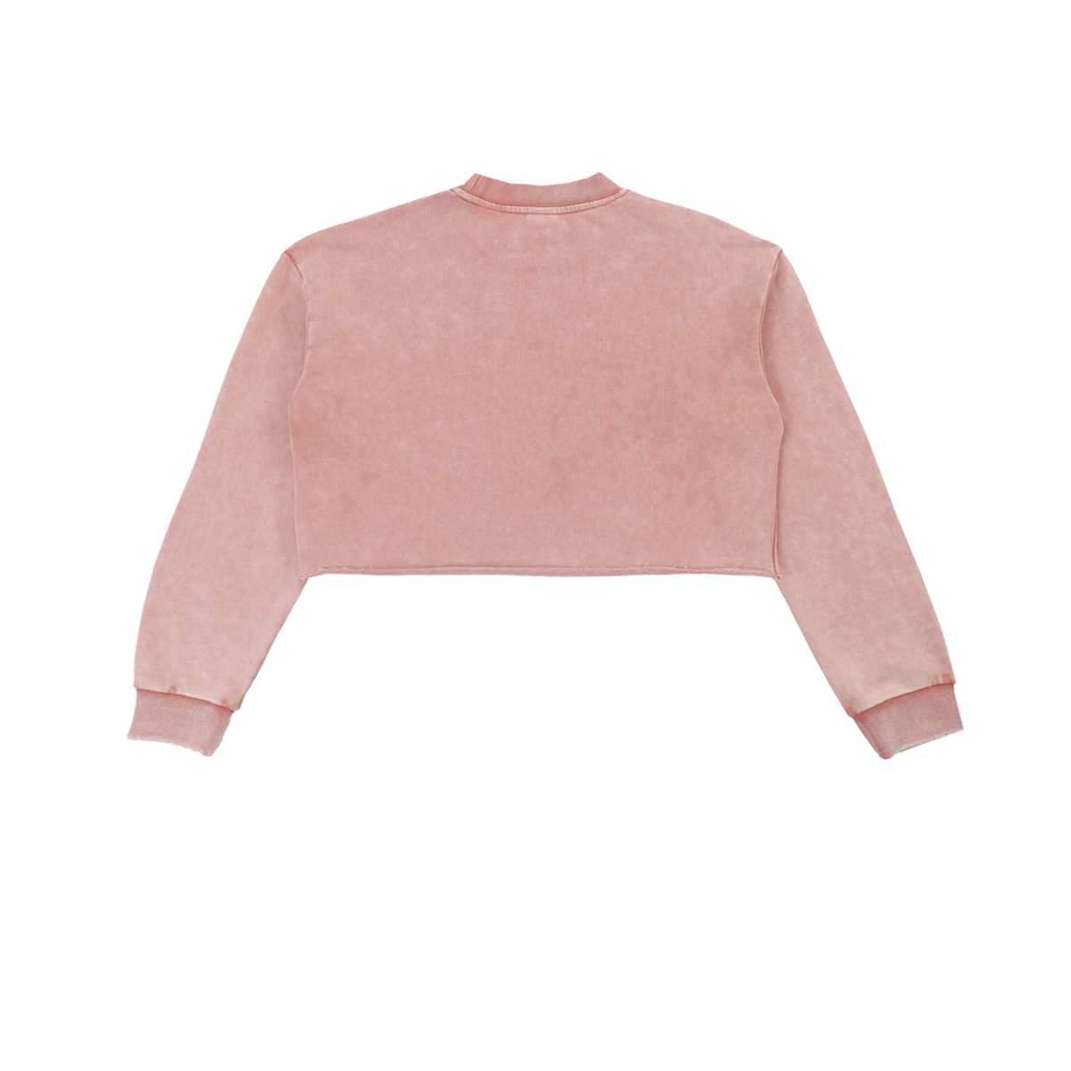Snow Washed Raw-Edge Crop Sweatshirt